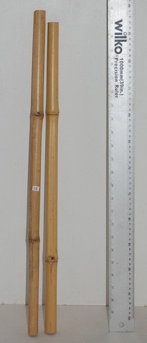 Bamboo poles reptiles - bamboo, reptiles,