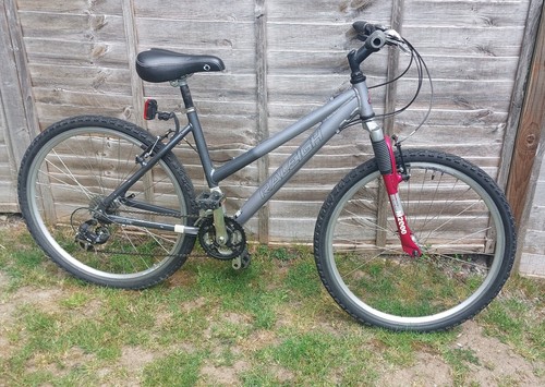 Raleigh ladies mountain bike - raleigh,
