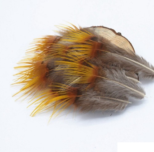 Rare golden fan feathers - golden,