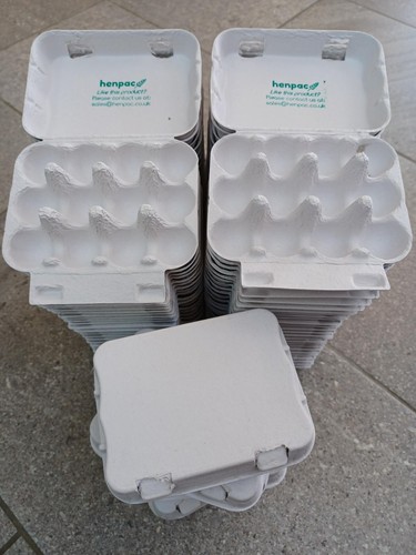 Quail egg boxes - quail,