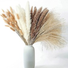 25Pcs Natural Pampas Grass Dried Reed Flower Bunny Tail Bouquet Flower Decor UK