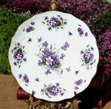 China plate Cake Salad