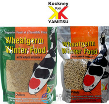 Kockney Koi Yamitsu Wheatgerm