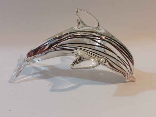 Glass striped dolphin - ,