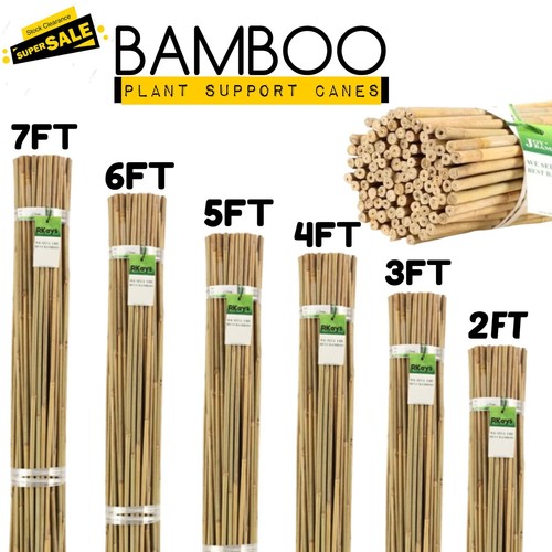 Bamboo garden canes - garden, heavy