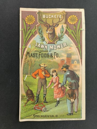 1880s antique buckeye - buckeye, lawn
