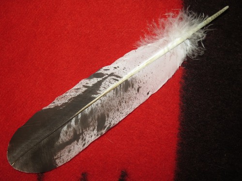 Native american made - native,
