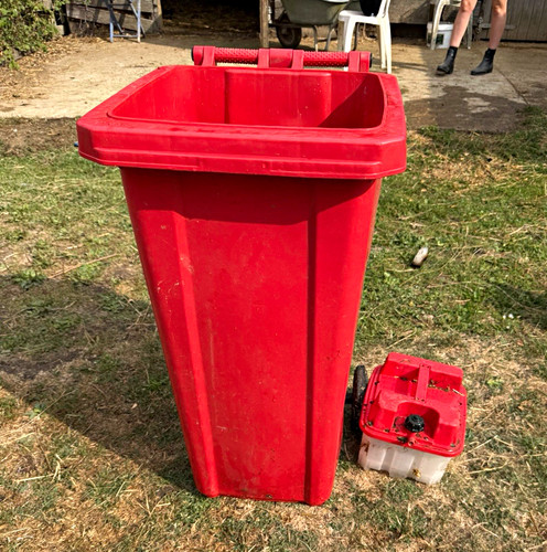 Animal hay steamer runs - animal(horse),