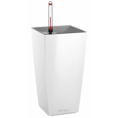Indoor plant pots - indoor,
