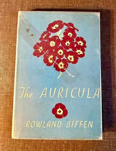 The auricula rowland biffen - rowland,