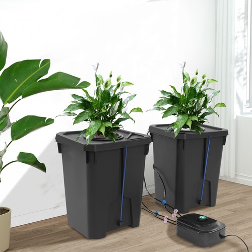 Hydroponics growing system - hydroponics,