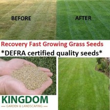 GRASS SEED LAWN SEEDS RECOVERY FAST REPAIR TIRED PATCH LAWNS DEFRA CERTIFIED