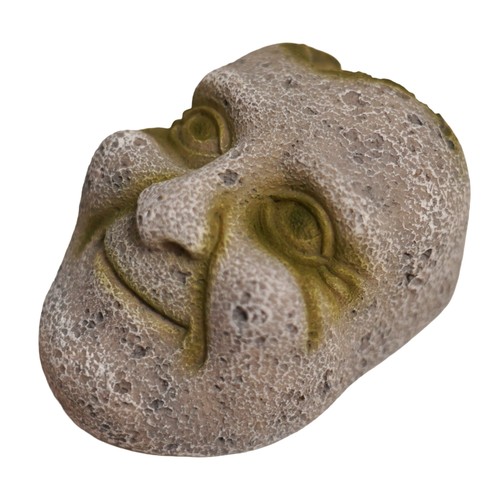Betta stone face aquarium - betta,