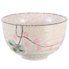 Japanese Chawan Matcha