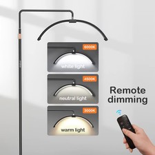 NEW Half-moon Shaped Floor