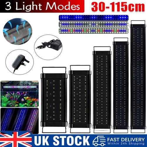 Aquarium fish tank - aquarium, led