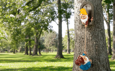 2 Pack Whimsical Gnome