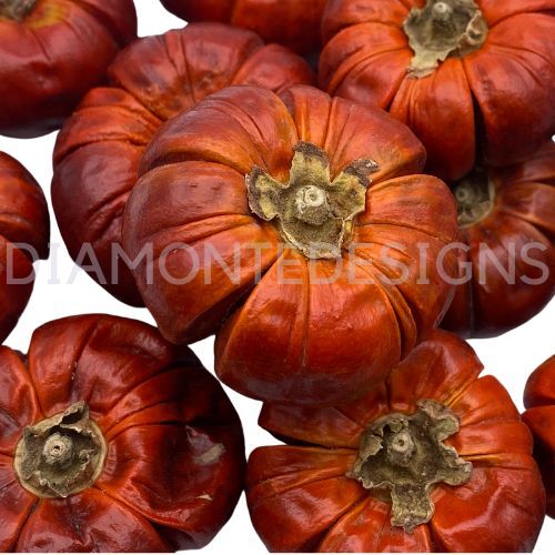 Dried whole mini pumpkins - whole,
