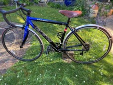 carrera virtuoso mens road