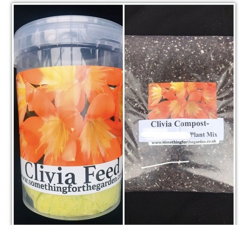 Clivia growers bundle feed - bundle,,