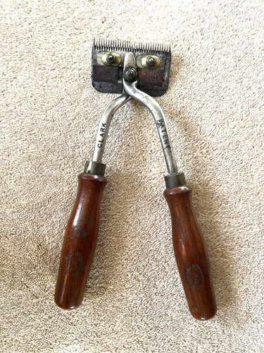 Vintage clarks horse cattle - horse,