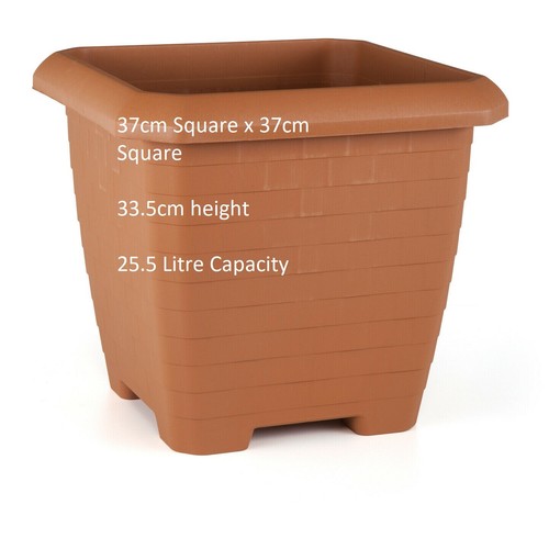 Terracotta square plant pots - plant,