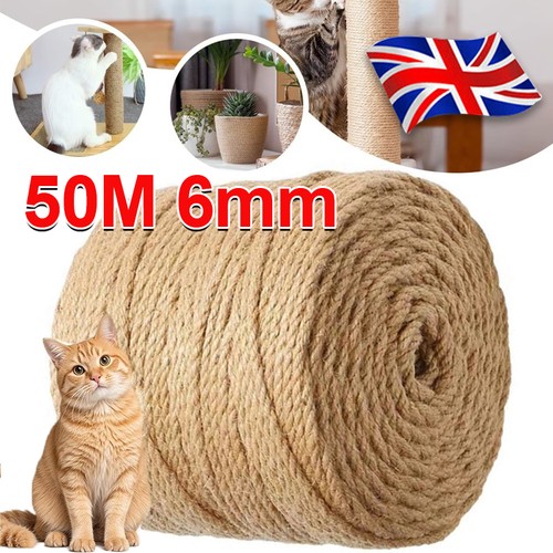 50m cat scratching - 50m,