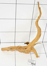 Premium Natural Aquarium