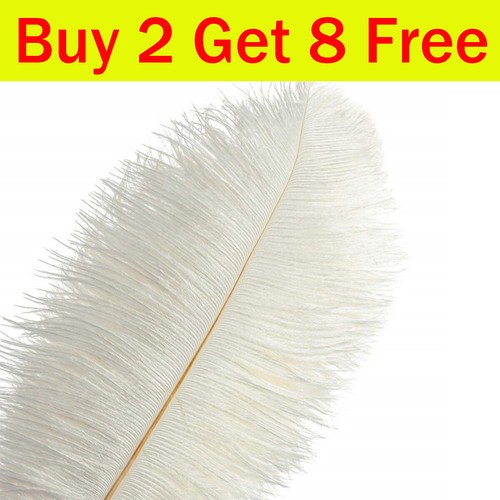 Large ostrich feathers plume - feathers,