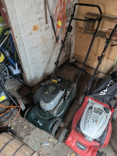 Hayter harrier push lawn - hayter,