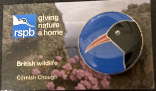 Rspb chough pin badge - chough,