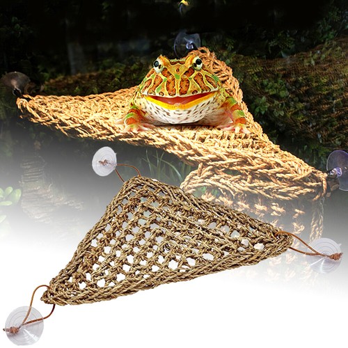 Reptile hammock basking lizard - hammock,
