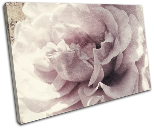 Vintage shabby chic flower - shabby,