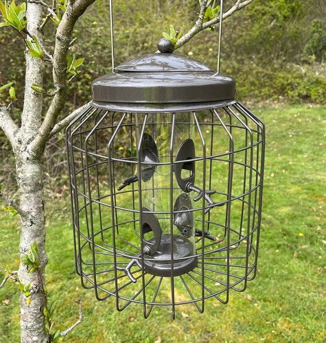 Squirrel proof hanging bird - squirrel,
