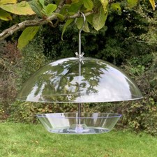 Hanging See Through Squirrel