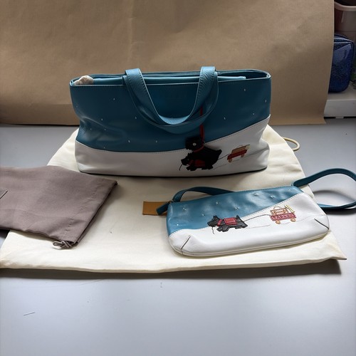 Radley explorer signature grab