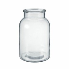 Modern Clear Glass Wide Flower Jar - Twig Stem Bouquet Display Vase