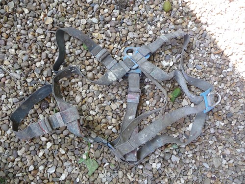 Tree climbing fall arrest body - tree,