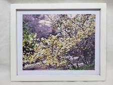 Mixed Media Picture Framed