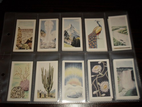 Foto bubble gum trade cards - foto,
