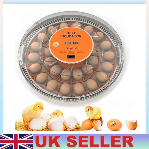 Digital egg incubator with - 30-egg,