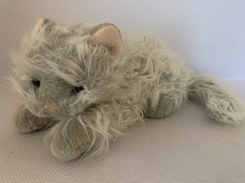 Classic cat kitten - cat,