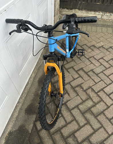 Schwinn flee 1898 mountain - 1898,