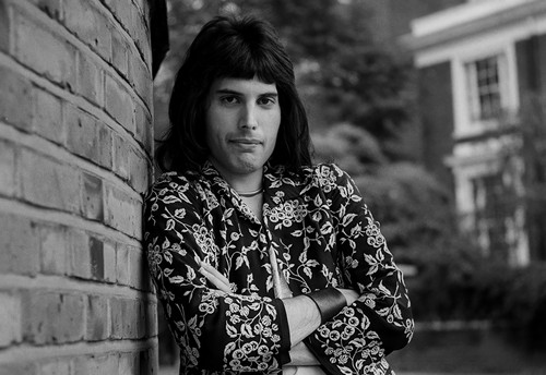 Freddie mercury poster - a4,
