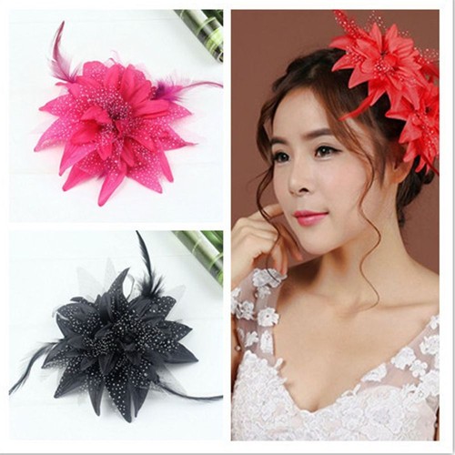 Brooch feathers hair clip - feathers,