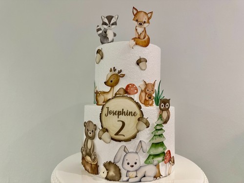 Cute woodland animals - animals, edible