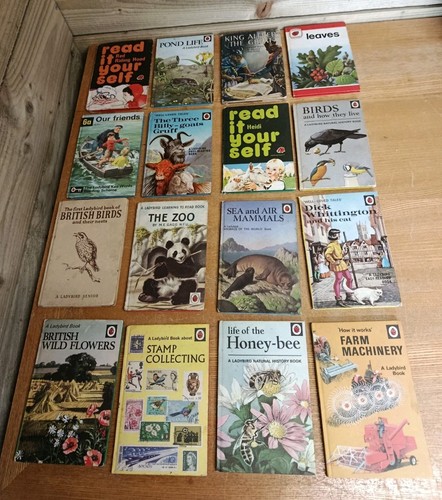Vintage ladybird book - vintage,