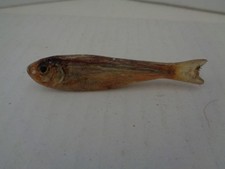 Ken Loeber 1981 taxidermy fish