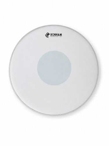 Snare drum head - head, dry