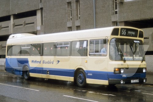 Bus photo midland bluebird - midland,